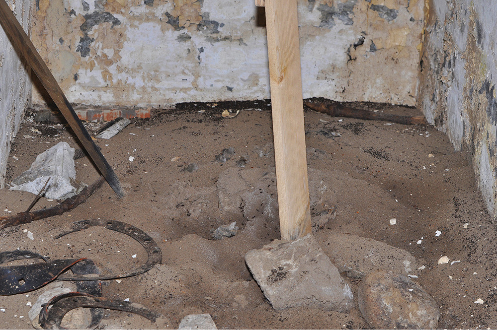 Il formicaio in fondo al bunker, quasi abbandonato dalle formiche durante inverno, quattro mesi dopo l’allestimento della “passerella” di legno. I “cimiteri delle formiche” sono visibili intorno al tumulo e vicino ai muri

