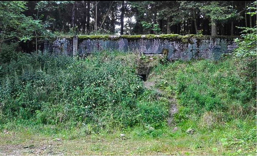 Der Atombunker, in dem die Ameisenkolonie gefunden wurde. Der Bunker wurde nach dem Fall der Sowjetunion aufgegeben.
