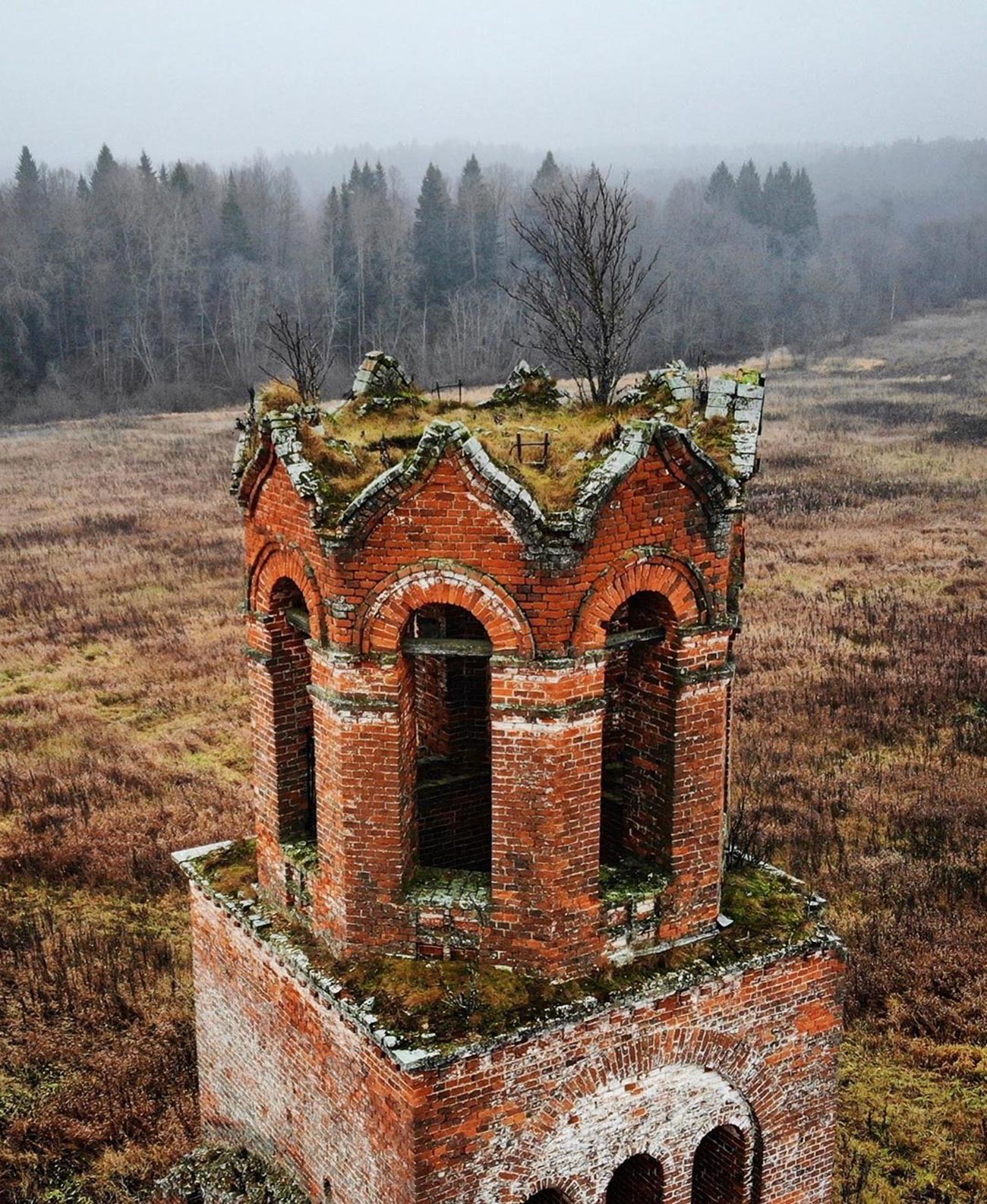 essays on deserted village