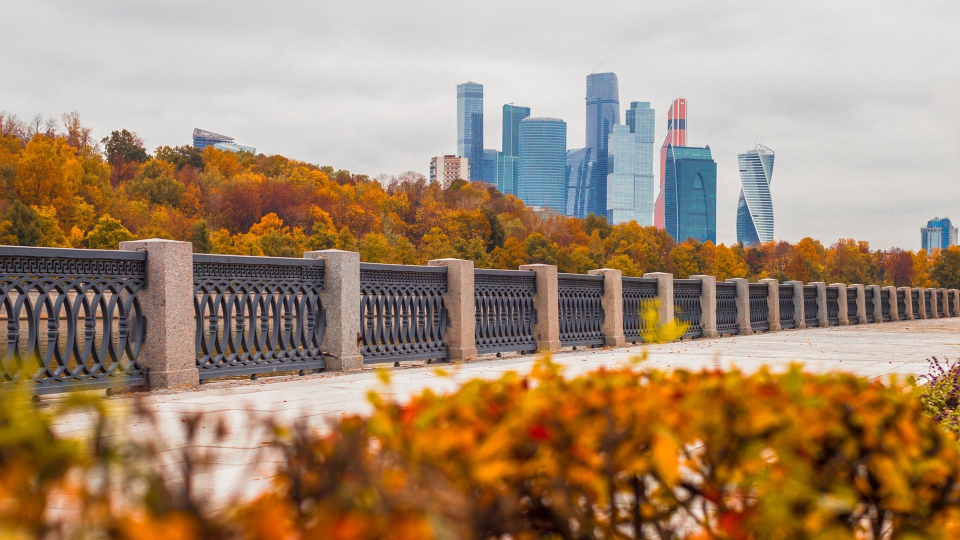 モスクワ川河岸の秋