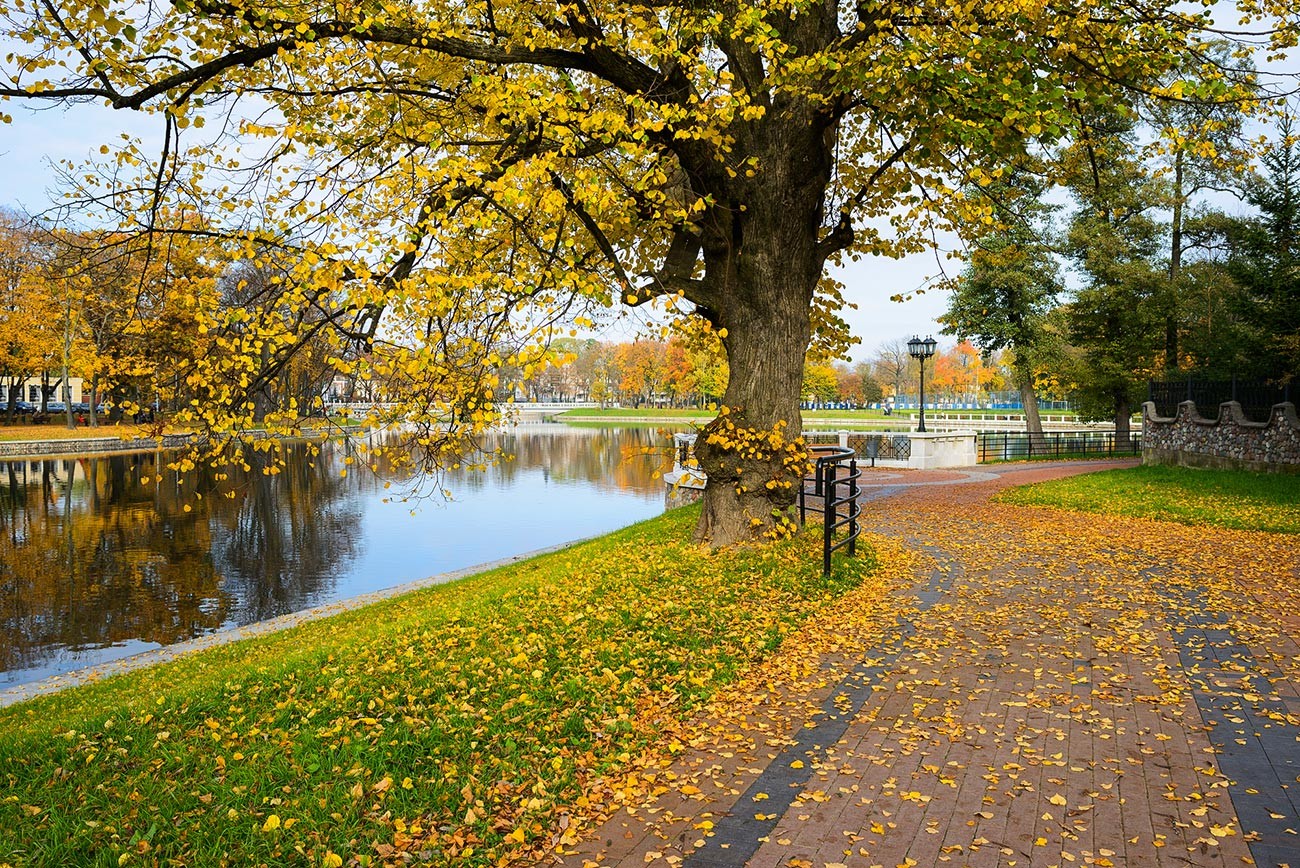 Île Kant, à Kaliningrad