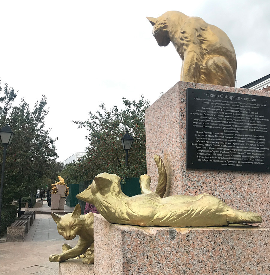 Siberian cats Square in Tyumen.