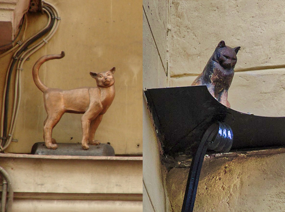 Vasilisa and Yelisey cats in St. Petersburg
