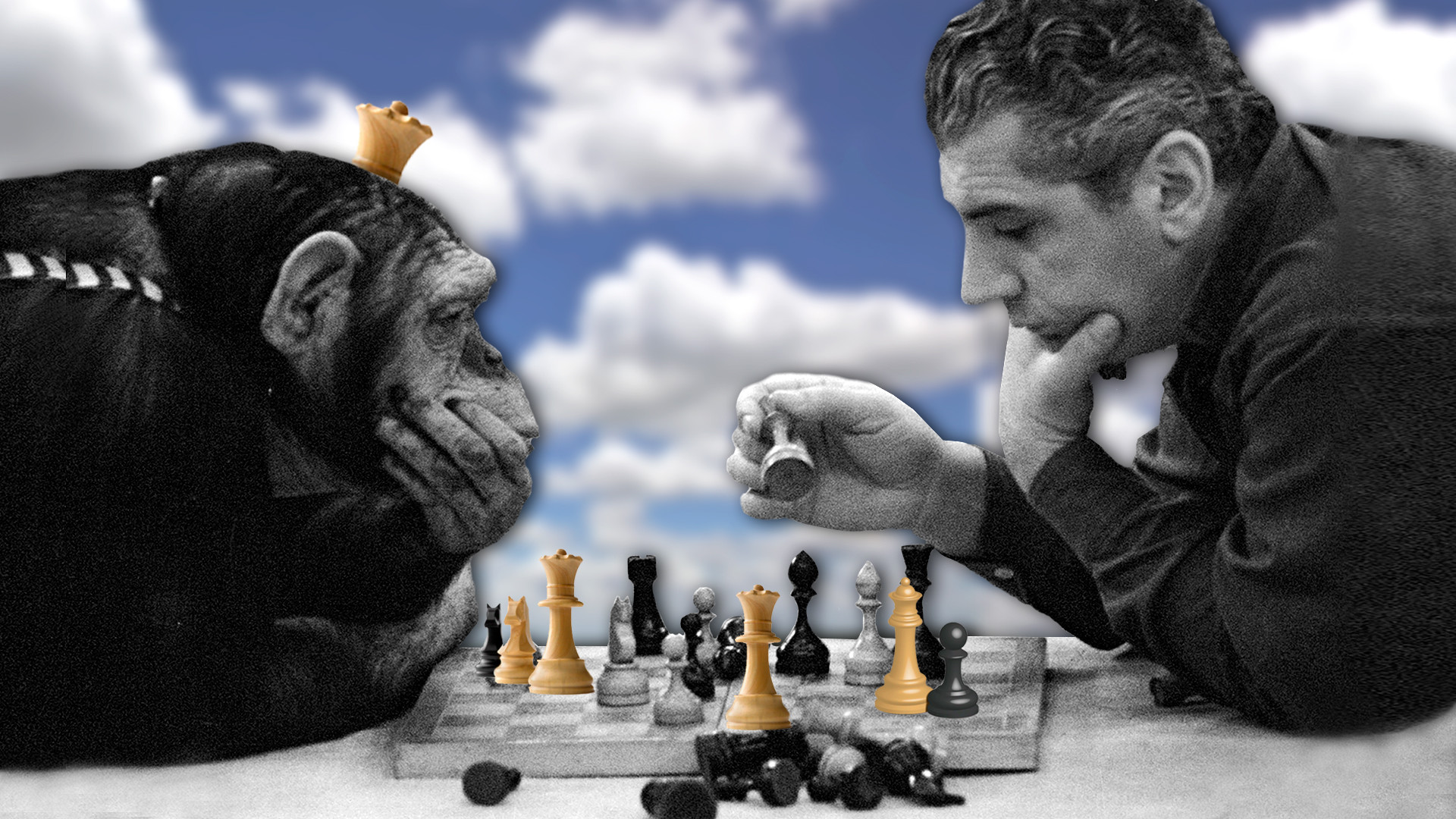 Donde juegan los estadounidenses al ajedrez?