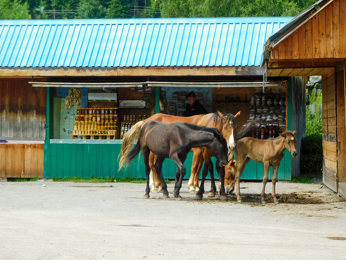 A souvenir stand in Teletskoye