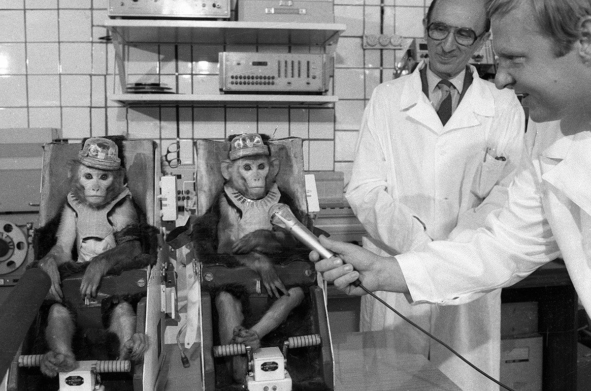 Сотрудники Института медико-биологических проблем Министерства здравоохранения СССР с обезьянами, которые перенесли 7-суточный полёт на борту биоспутника 
