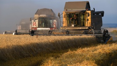 How Russia became the world’s LEADING wheat exporter