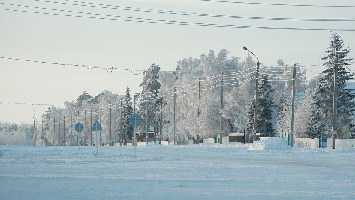 Деревня Гришковка зимой.