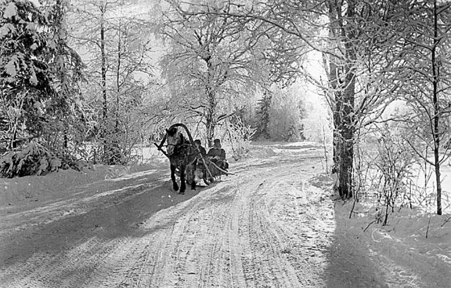 森の酷寒の朝、1950年代