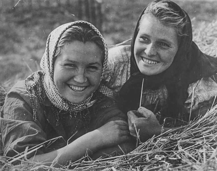 干し草畑で友人と、1950年代