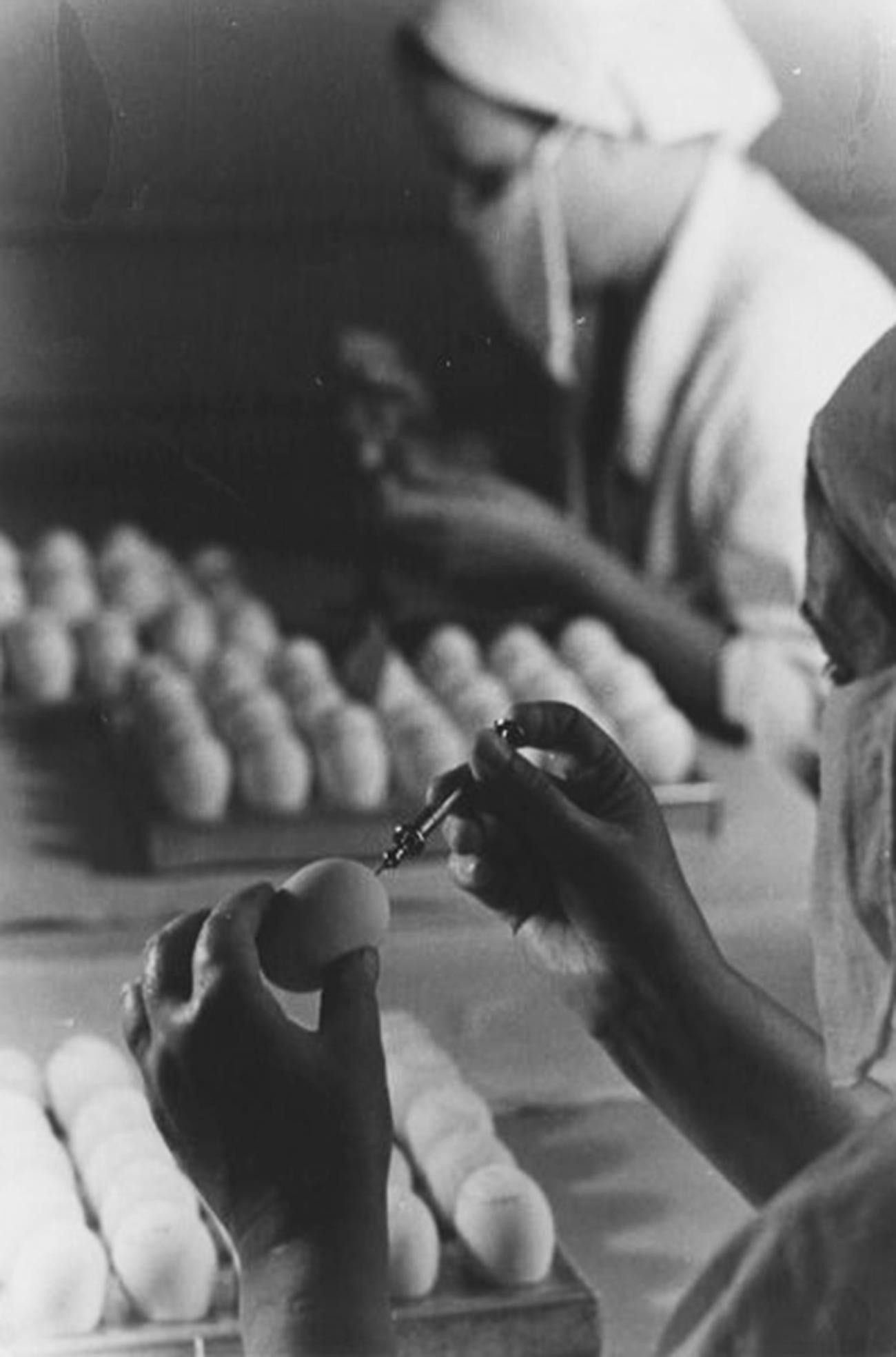 Tests de vaccination contre la grippe, années 1950