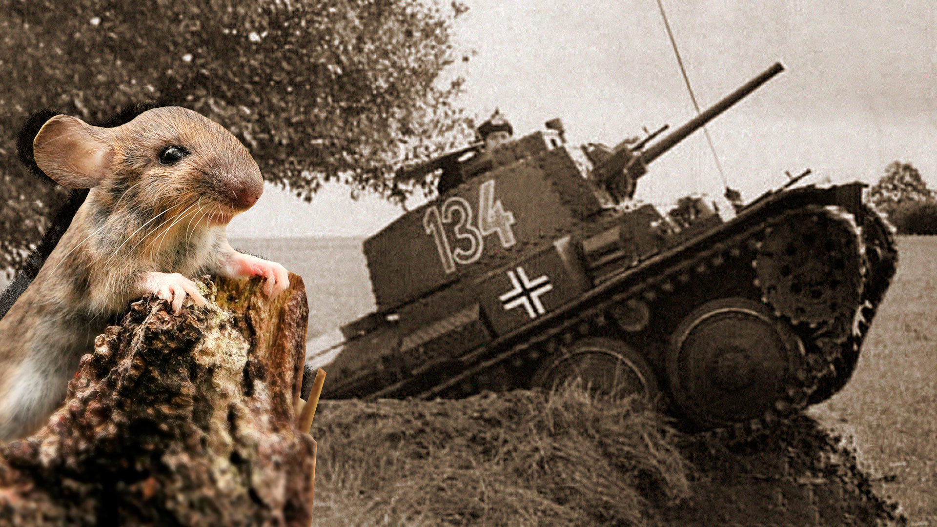 How MICE helped the Red Army defeat the Nazis at Stalingrad