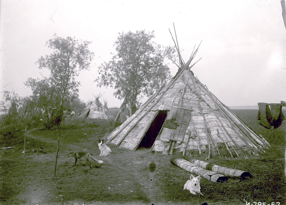 Un chum cubierto de corteza de abedul, 1936. Yamal.
