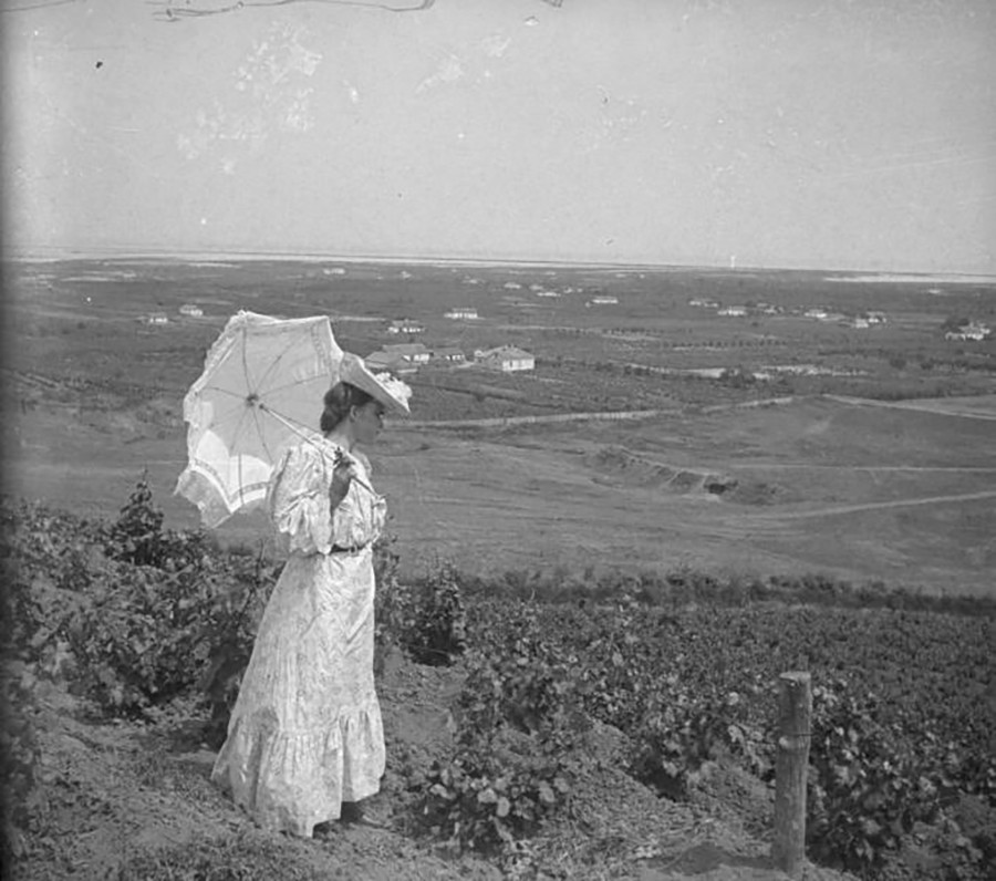 クリミアはワインも有名だ。ブドウ園を見る女性。1903年