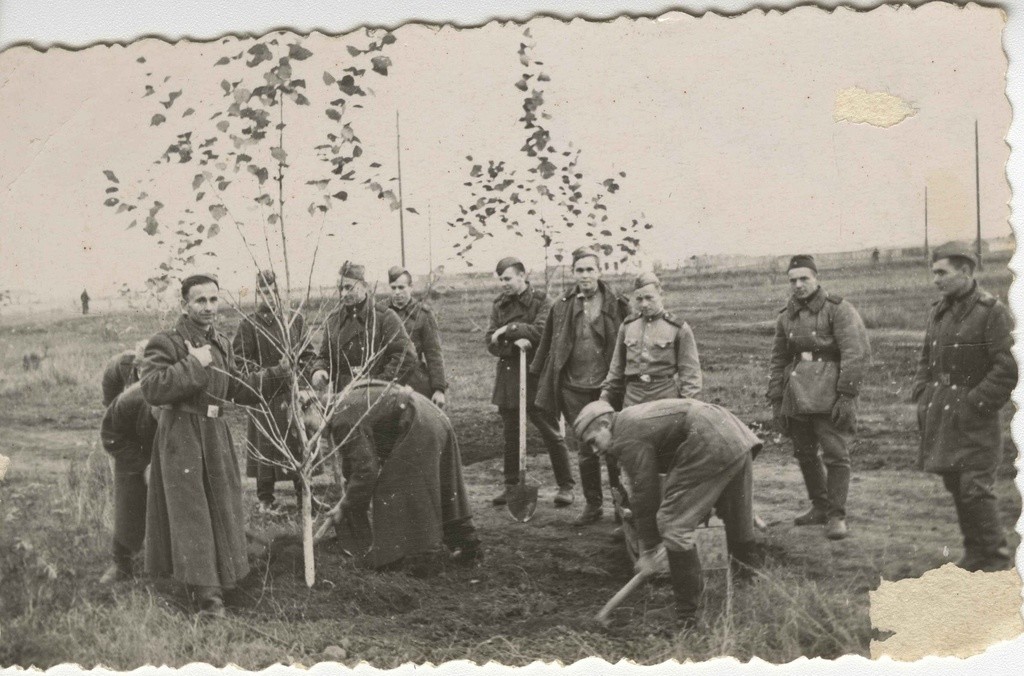 スボートニクに参加する兵士たち、1950年代