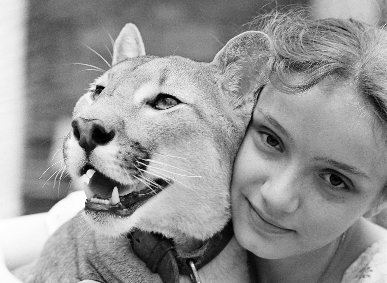 Eva Berberova i puma Ljalja, 1979.