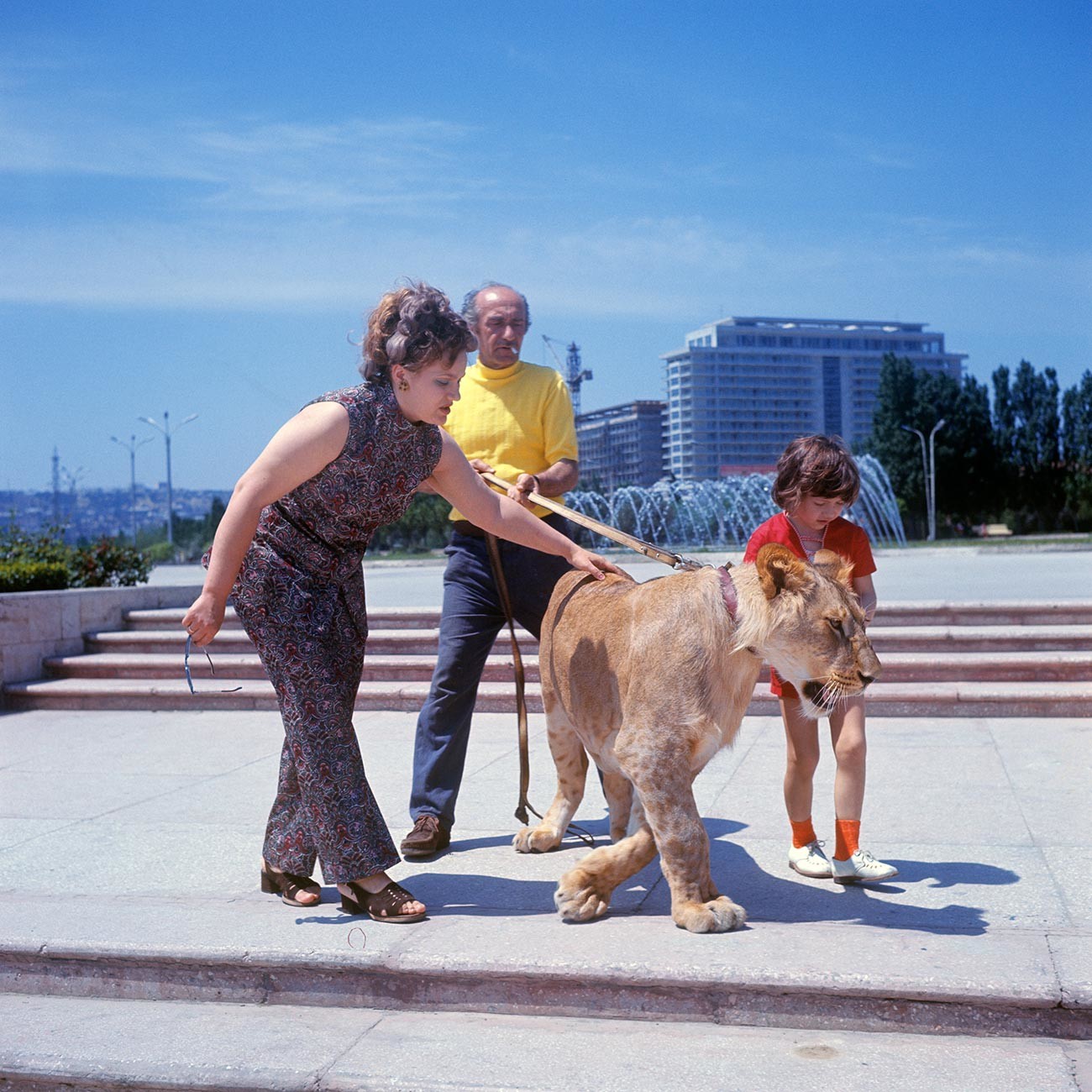 The Berberov family with their new pet lion cub King II on a walk
