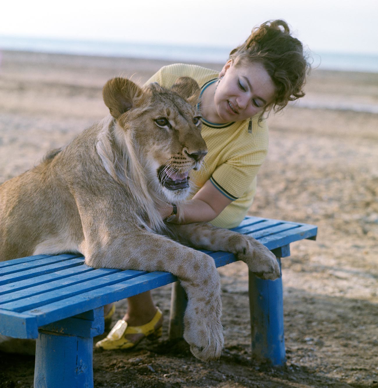 Nina Berberova em uma caminhada com seu leão de estimação King. Costa do Mar Cáspio


