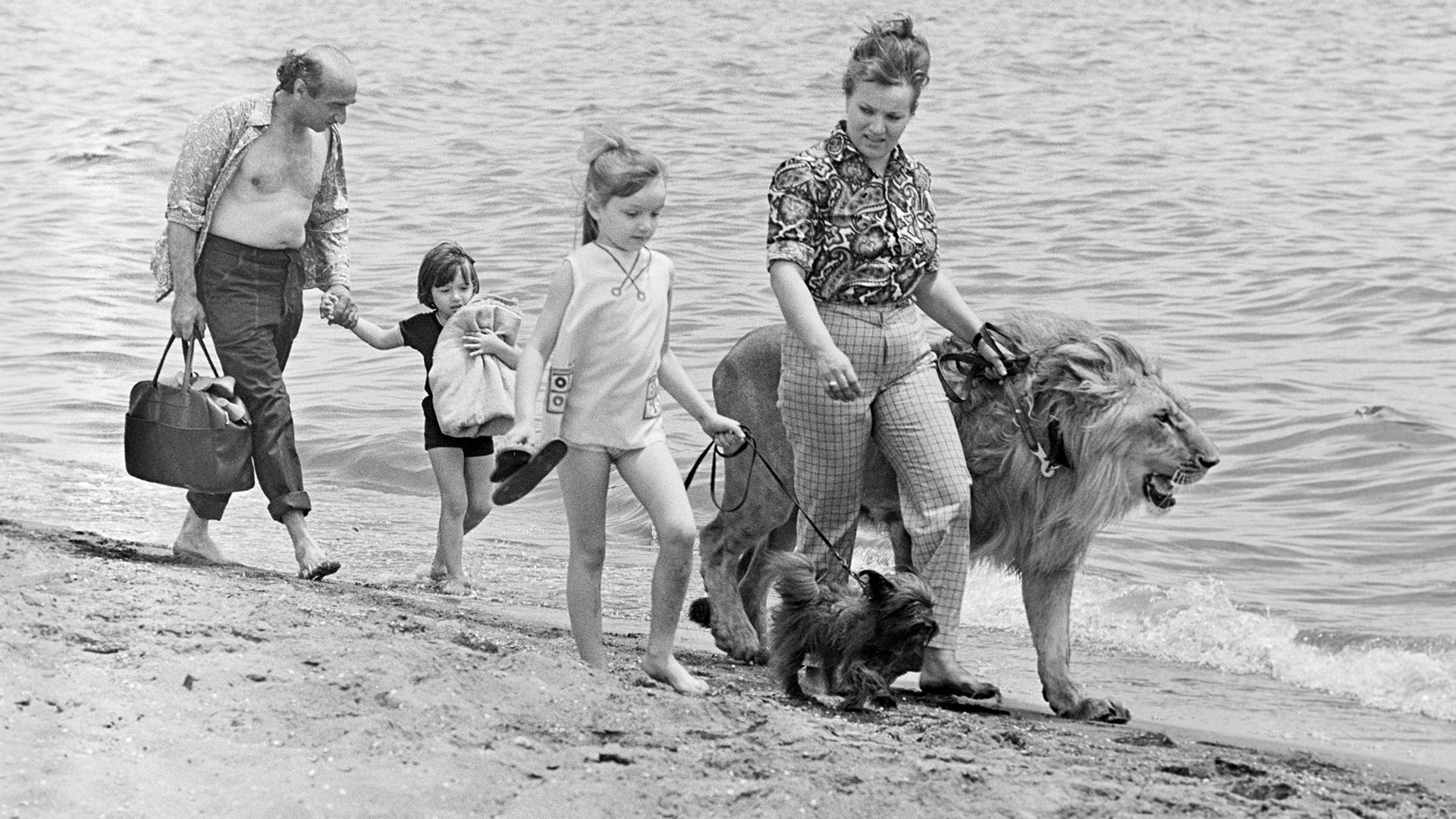 Il leone King con la famiglia Berberov durante una passeggiata in riva al mare, Baku