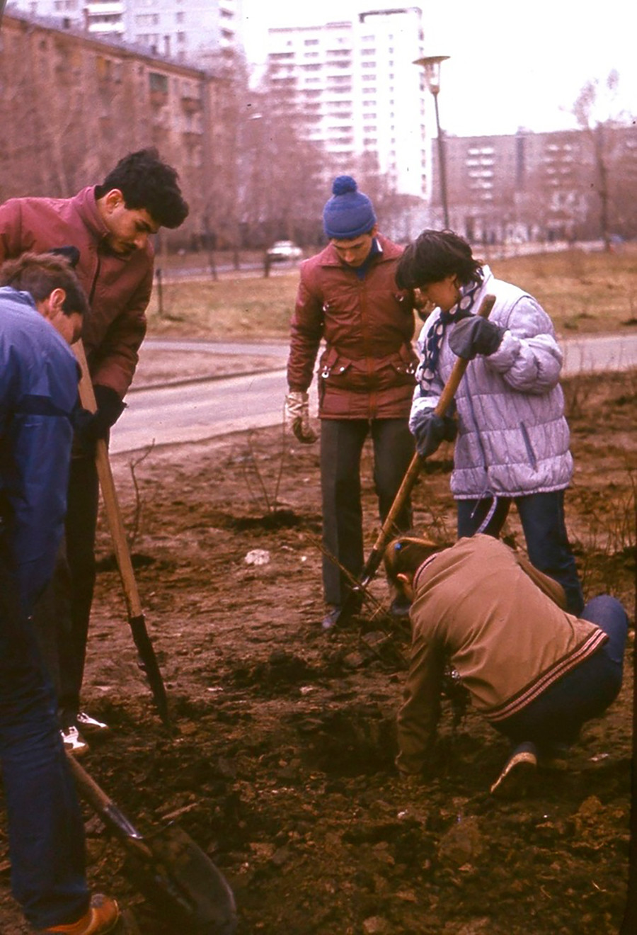 Étudiants de l’Université d’État de Moscou plantant des arbres près de leur résidence universitaire, 1984

