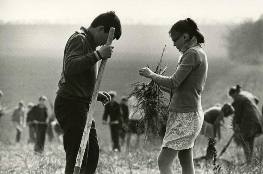 Des écoliers plantant des arbres au printemps, 1972

