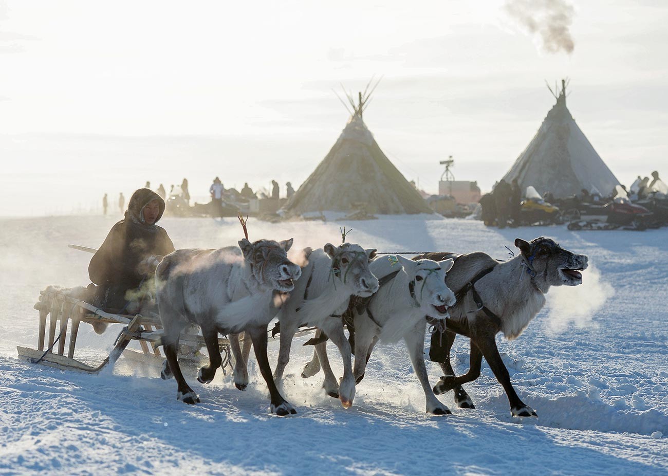 The Day of the Reindeer Herder.