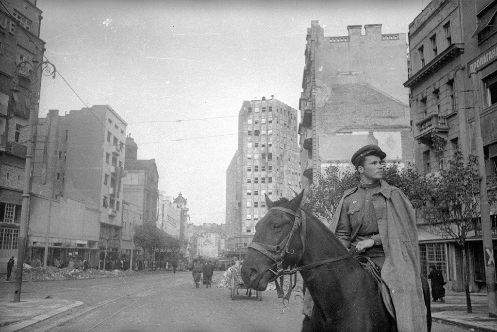 Un cavalier soviétique à Belgrade
