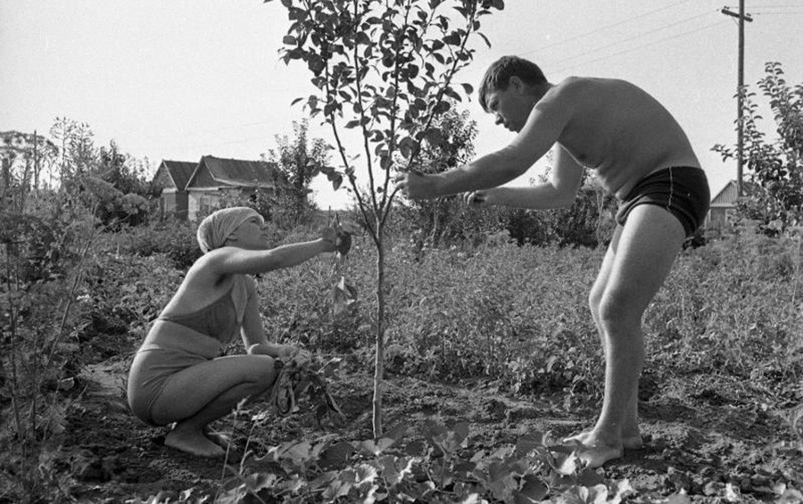 Al lavoro nel giardino di una dacia
