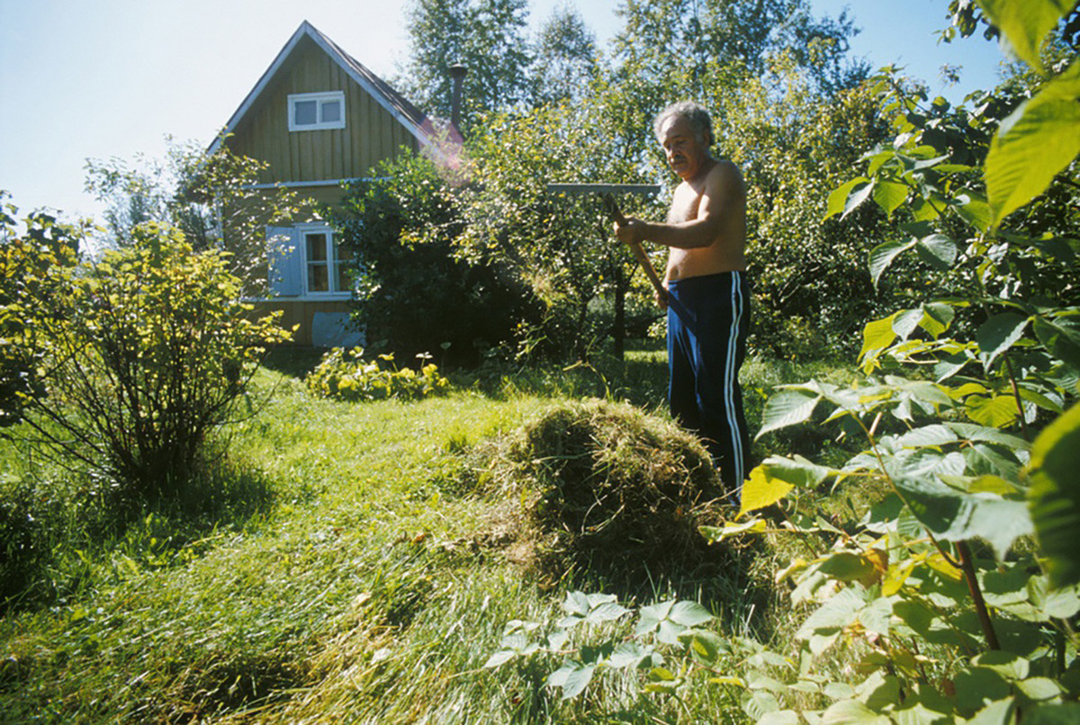 Prominent children’s surgeon Nemsadze gardening at his dacha