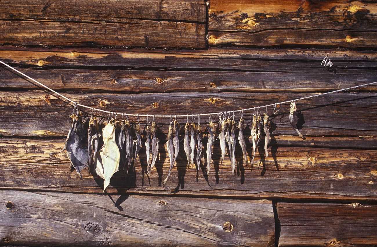 コヴダ村。丸太小屋の壁に干し魚が吊るされている。2001年7月24日。