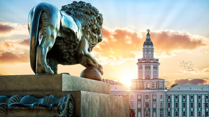 Kip leva na nabrežju Admiraltejskaja v Sankt Peterburgu nasproti Kunstkamere v poletni večerni svetlobi