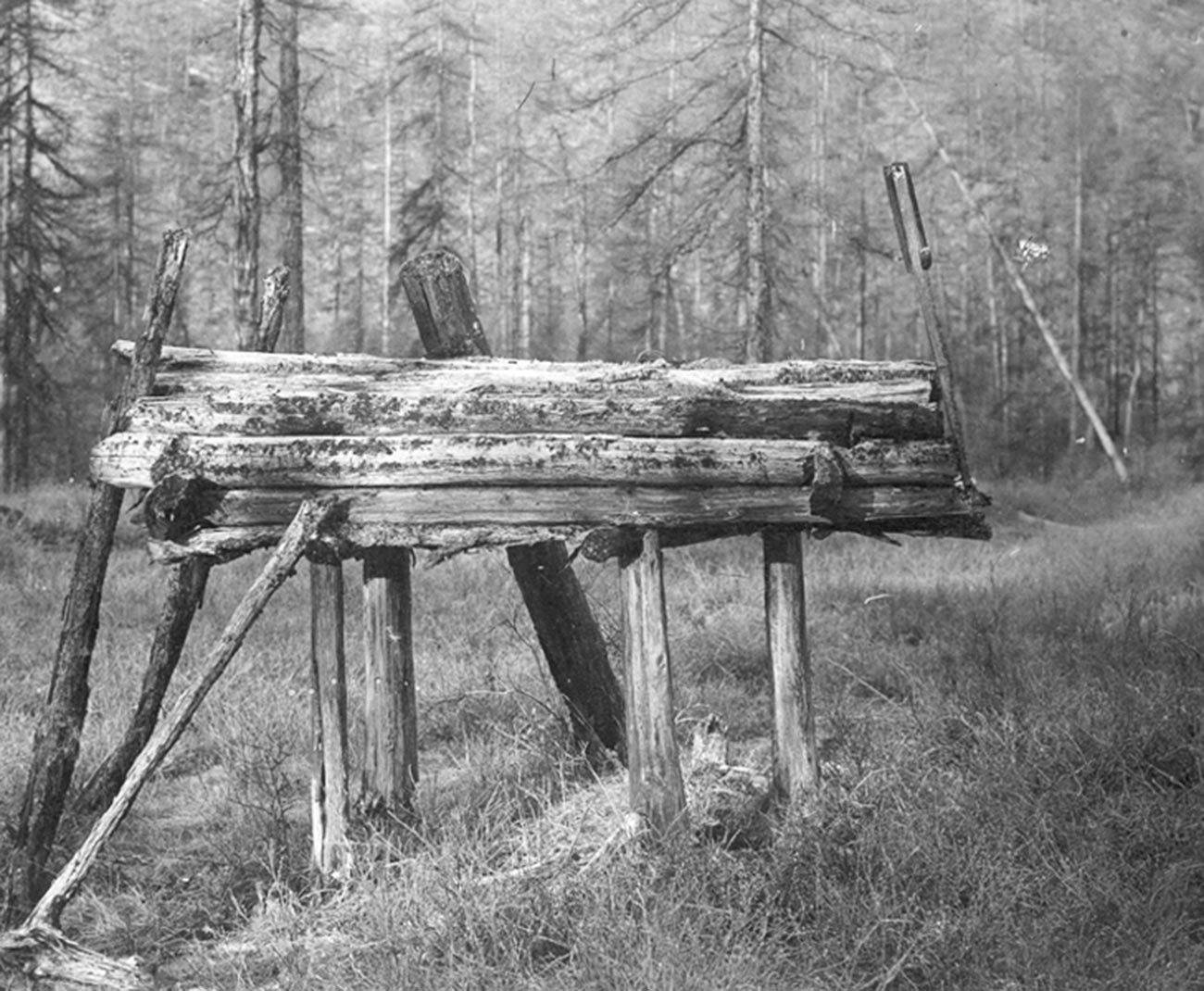 Kuburan di atas tanah ditemukan di tengah hutan Rusia.