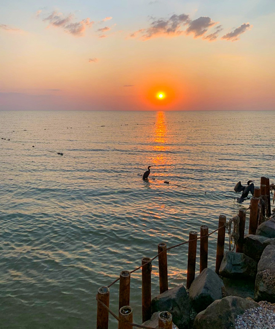 Cormorani al tramonto