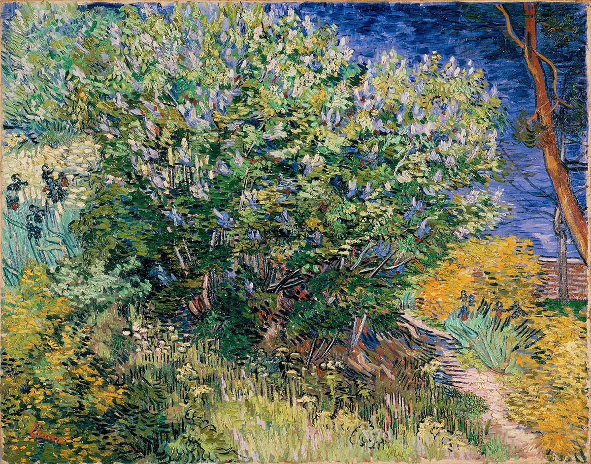 Vincent van Gogh. Lilas du jardin de l'hôpital, mai 1889