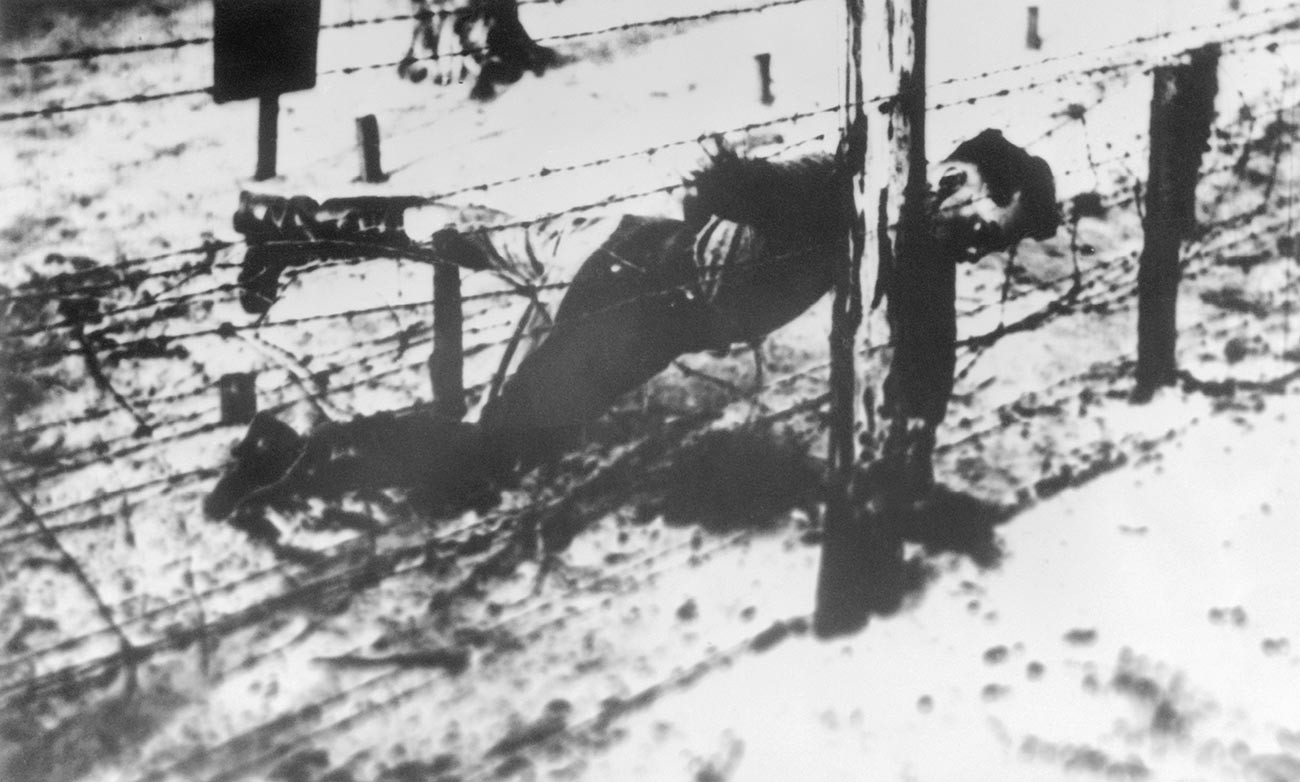 Il corpo senza vita di Jakov Dzhugashvili contro il filo spinato del Campo di concentramento di Sachsenhausen
