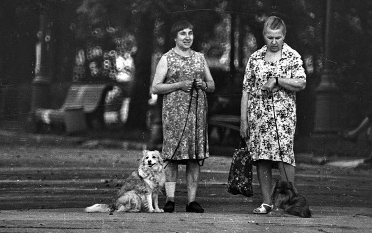 仔犬を連れた奥さんたち、1970年代