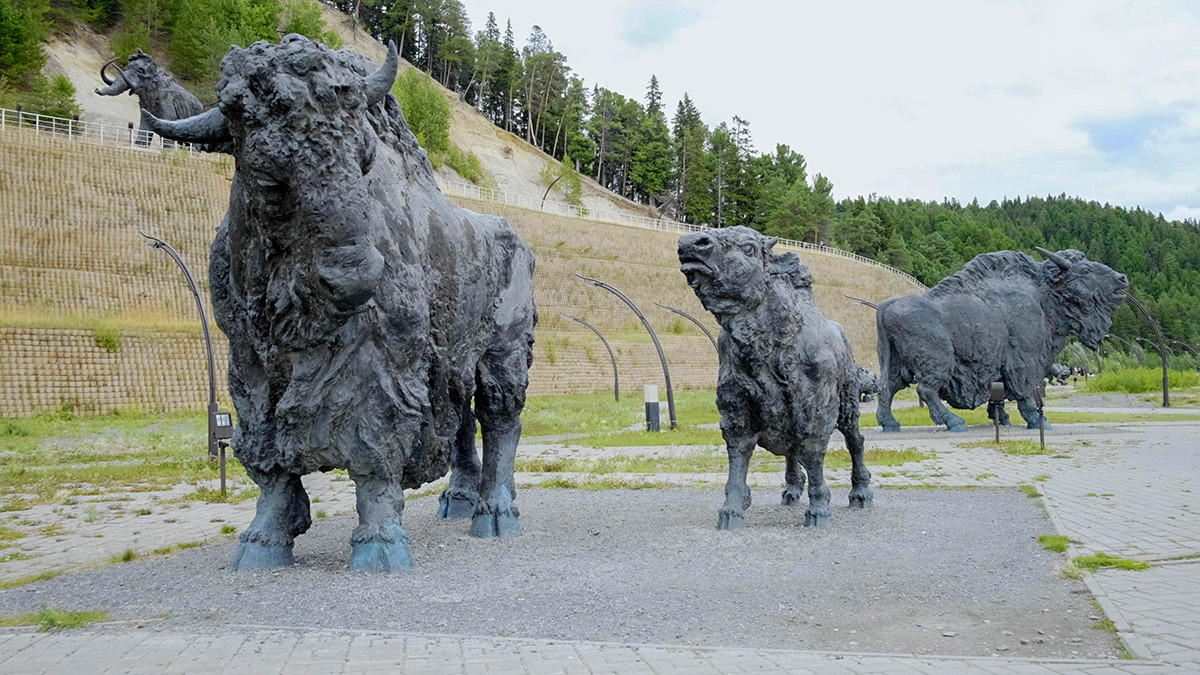 Esculturas de bisontes en el complejo cultural y turístico Archeopark
