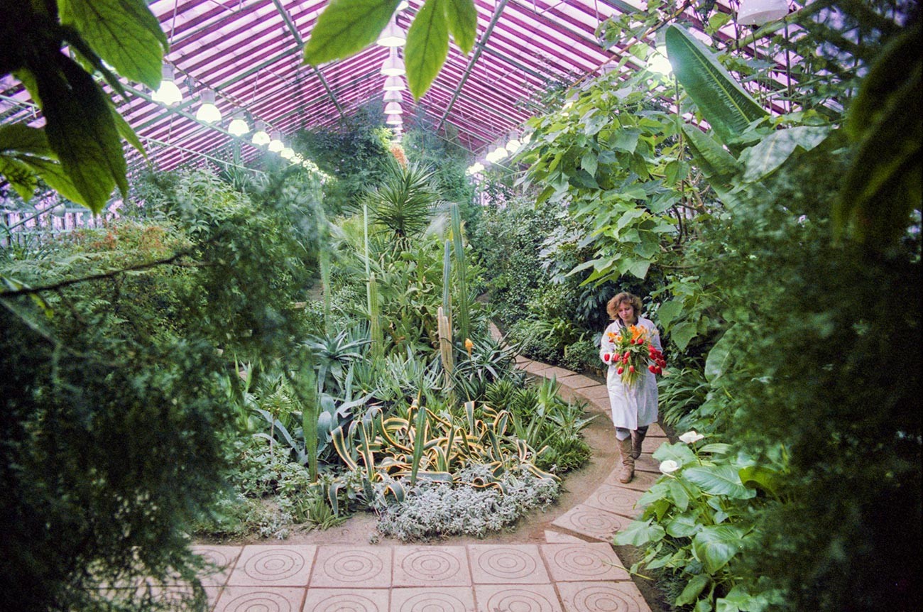 Banyak tanaman di rumah kaca ini telah dibudidayakan sejak zaman Soviet.