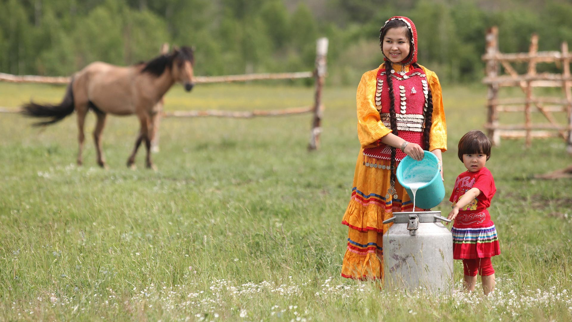 Memindahkan susu kuda ke dalam wadah khusu di sebuah peternakan pribadi untuk produksi kumis, minum khas setempat, di Republik Bashkiria.