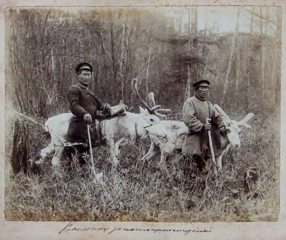 金採掘者を運ぶトナカイ、1895年ごろ、アムール川流域
