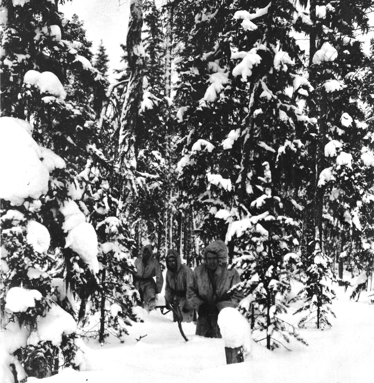 Americans in snow camouflage.