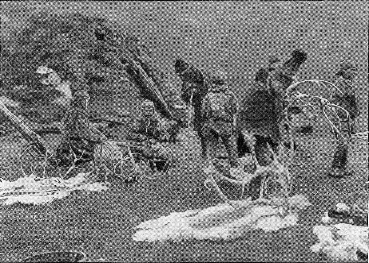 Sušenje kože v taborišču Sami
