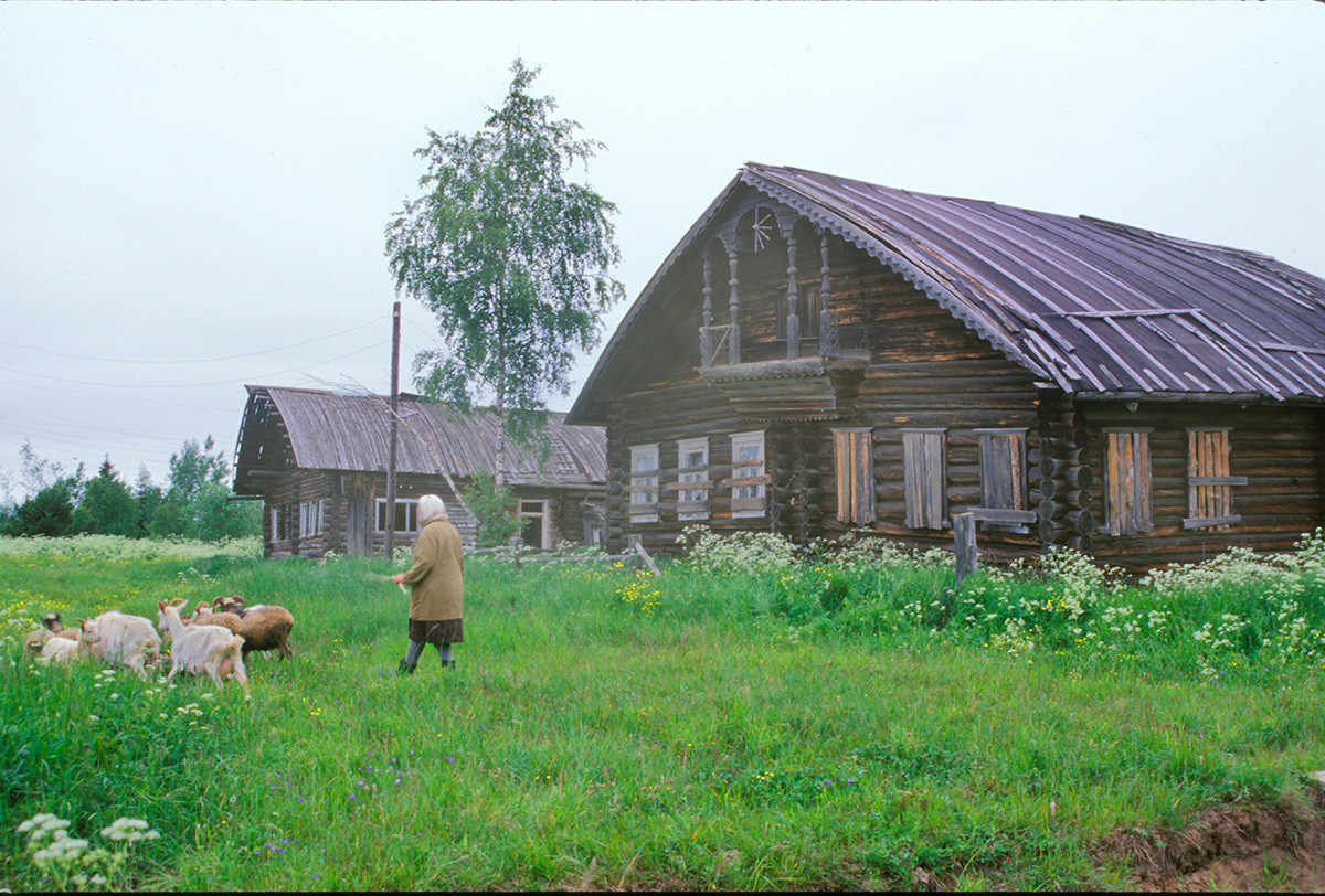 Zabolotye. Village scene with log houses. June 21, 2000