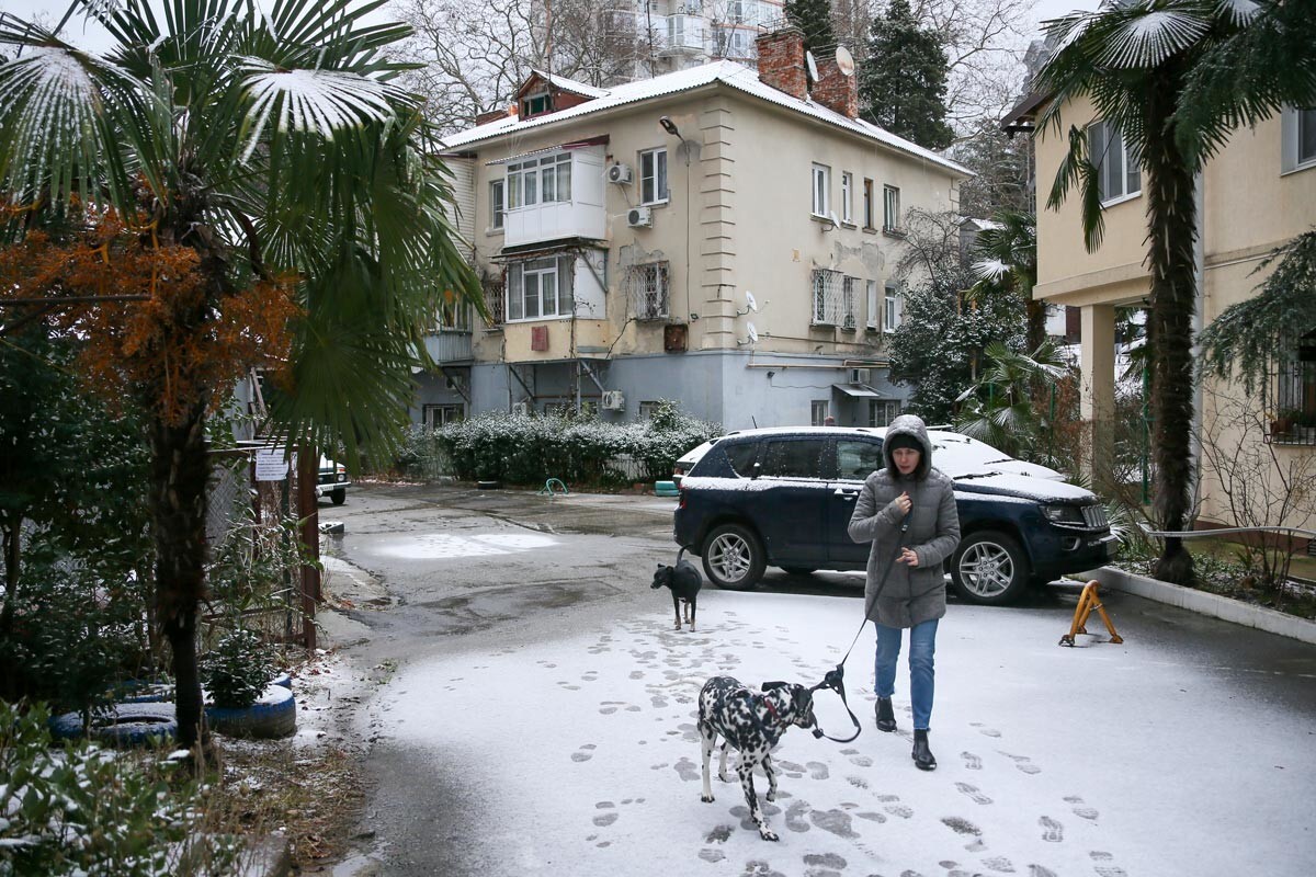 Po sneženju v Sočiju, sredi januarja 2021. Temperatura je padla na 0°C.
