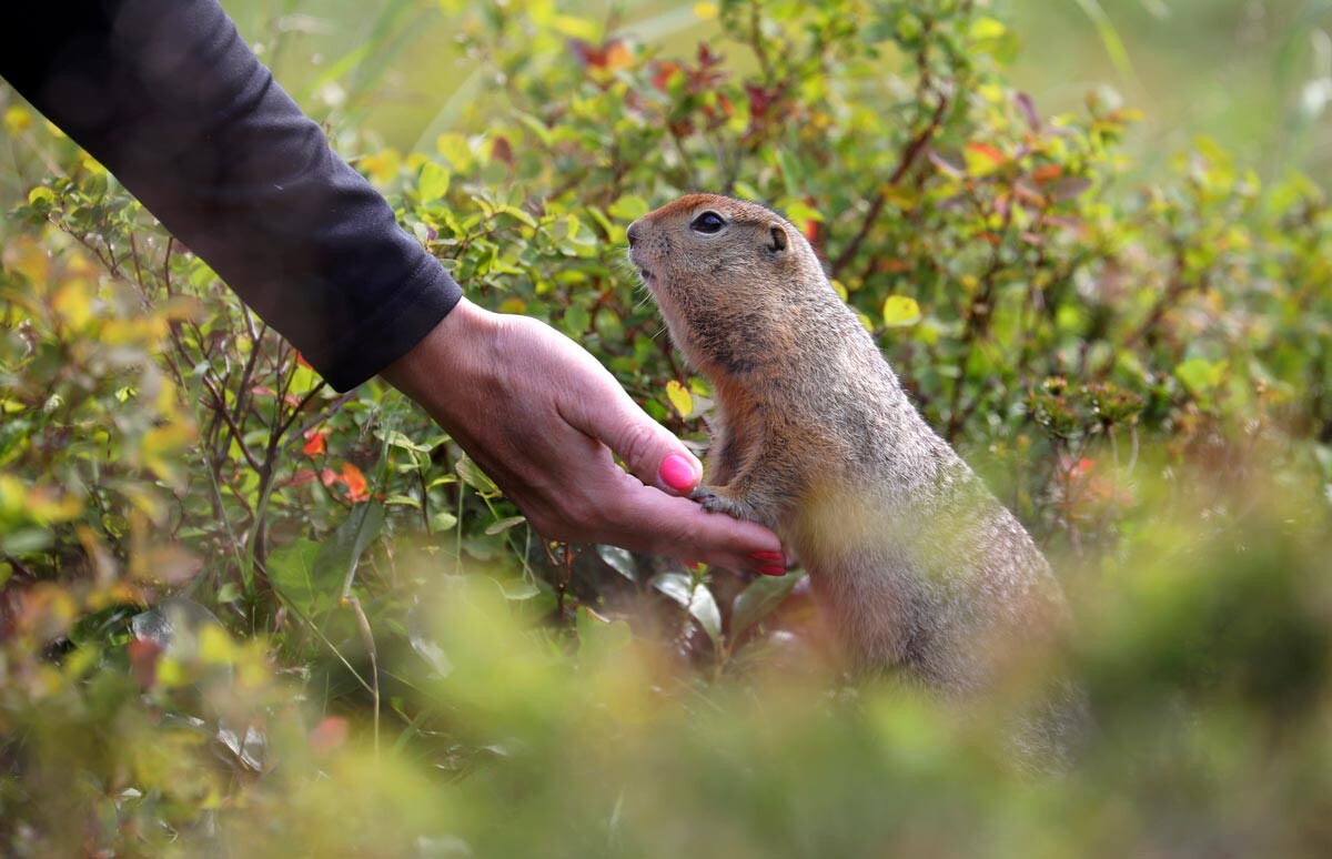 Why is your hand EMPTY?