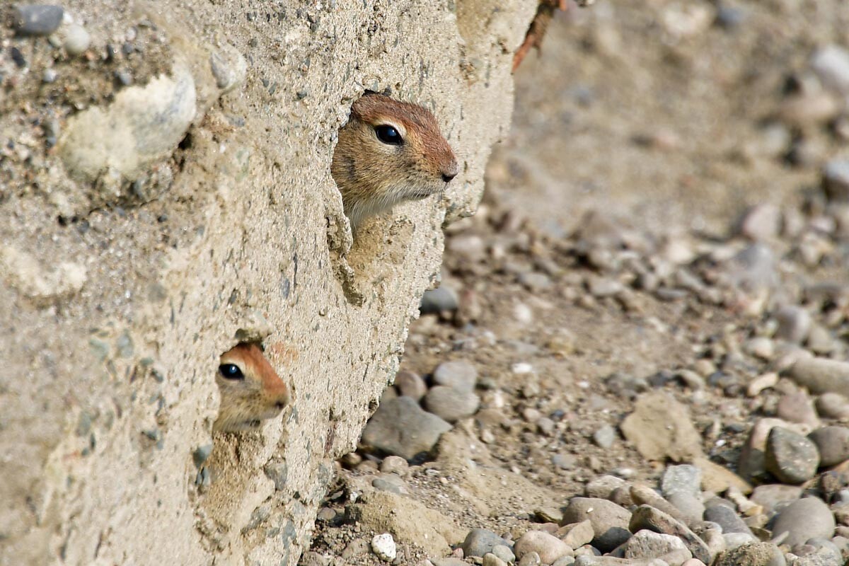 Hello, tourists! What do you have for us?