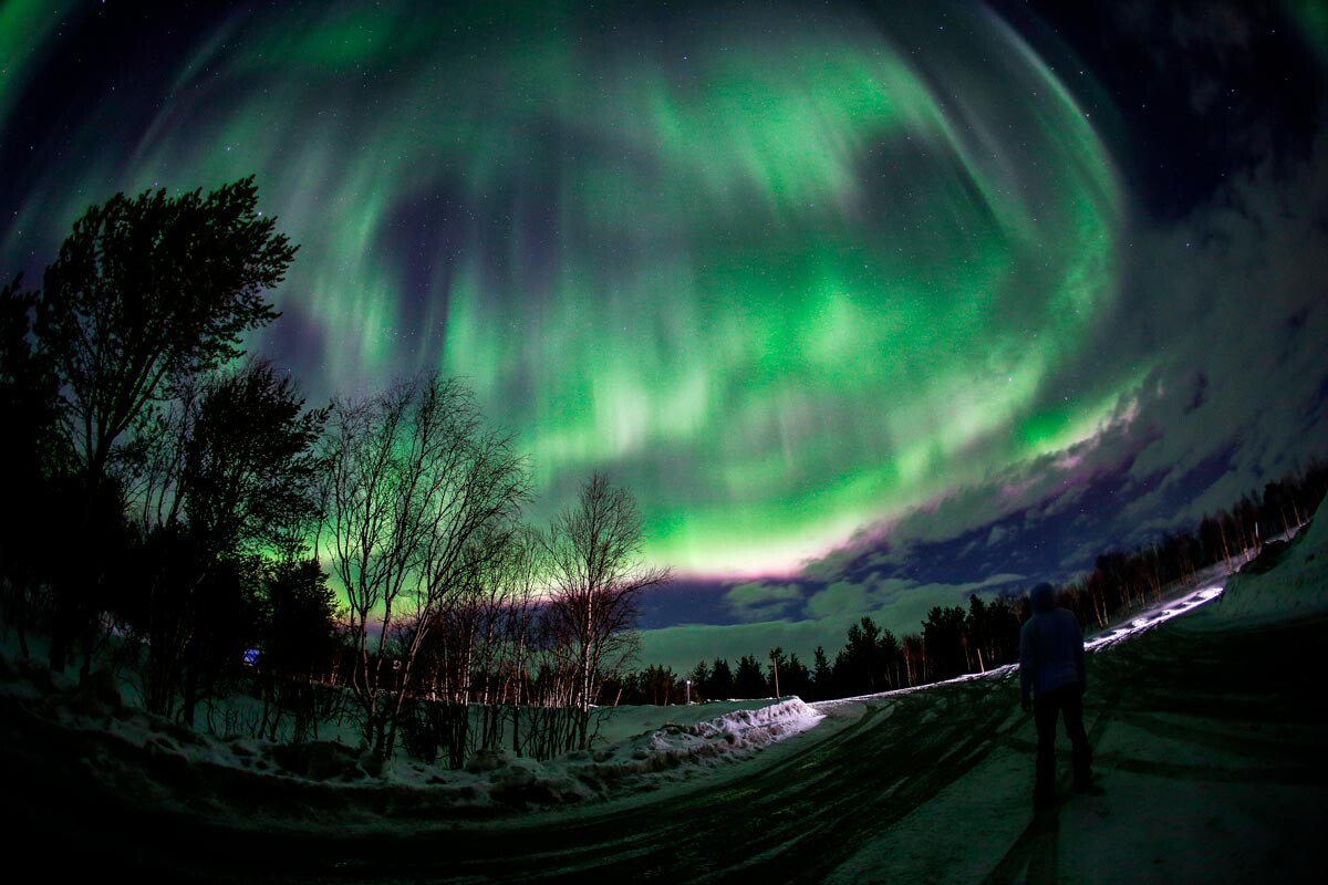 Polarna svjetlost u blizini rijeke Ure, Murmanska oblast. 