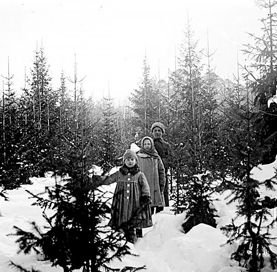 На патека во елова шума, 1910 година.
