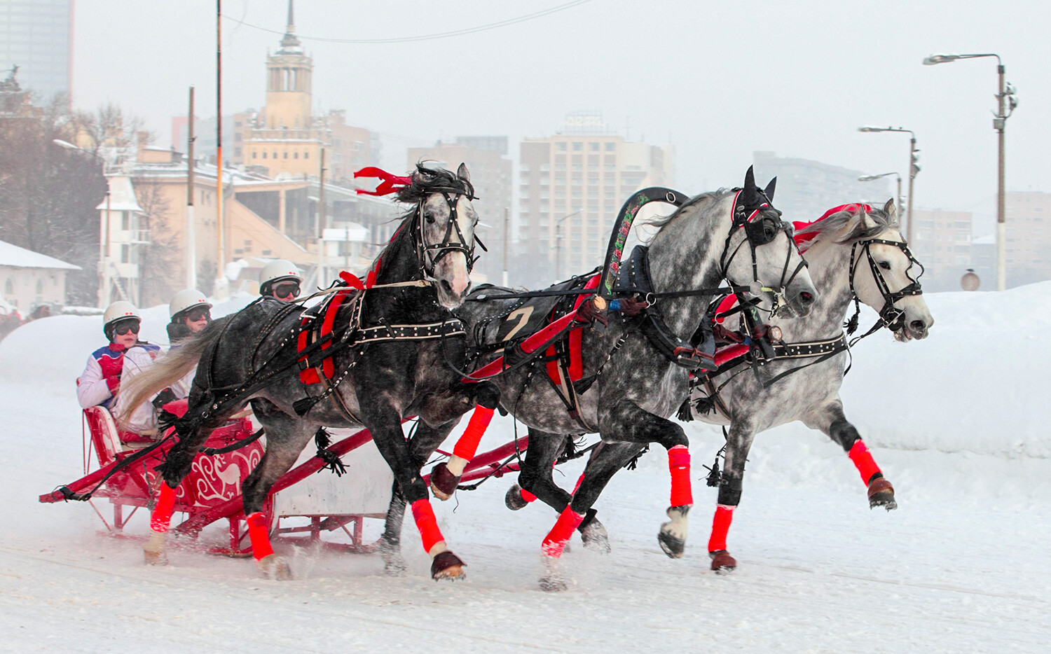 Тройки сильнейших. Тройка лошадей. Тройка лошадей зимой. Тройка коней в Москве. Тройка лошадей с санями.