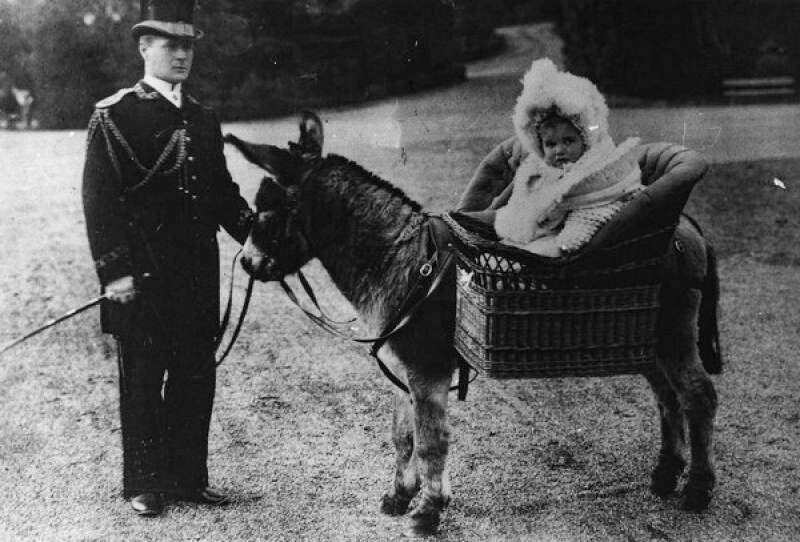 Das ist die Tochter von Nikolaus II., Großfürstin Anastasia, bei einem Spaziergang auf einem Esel zu sehen.